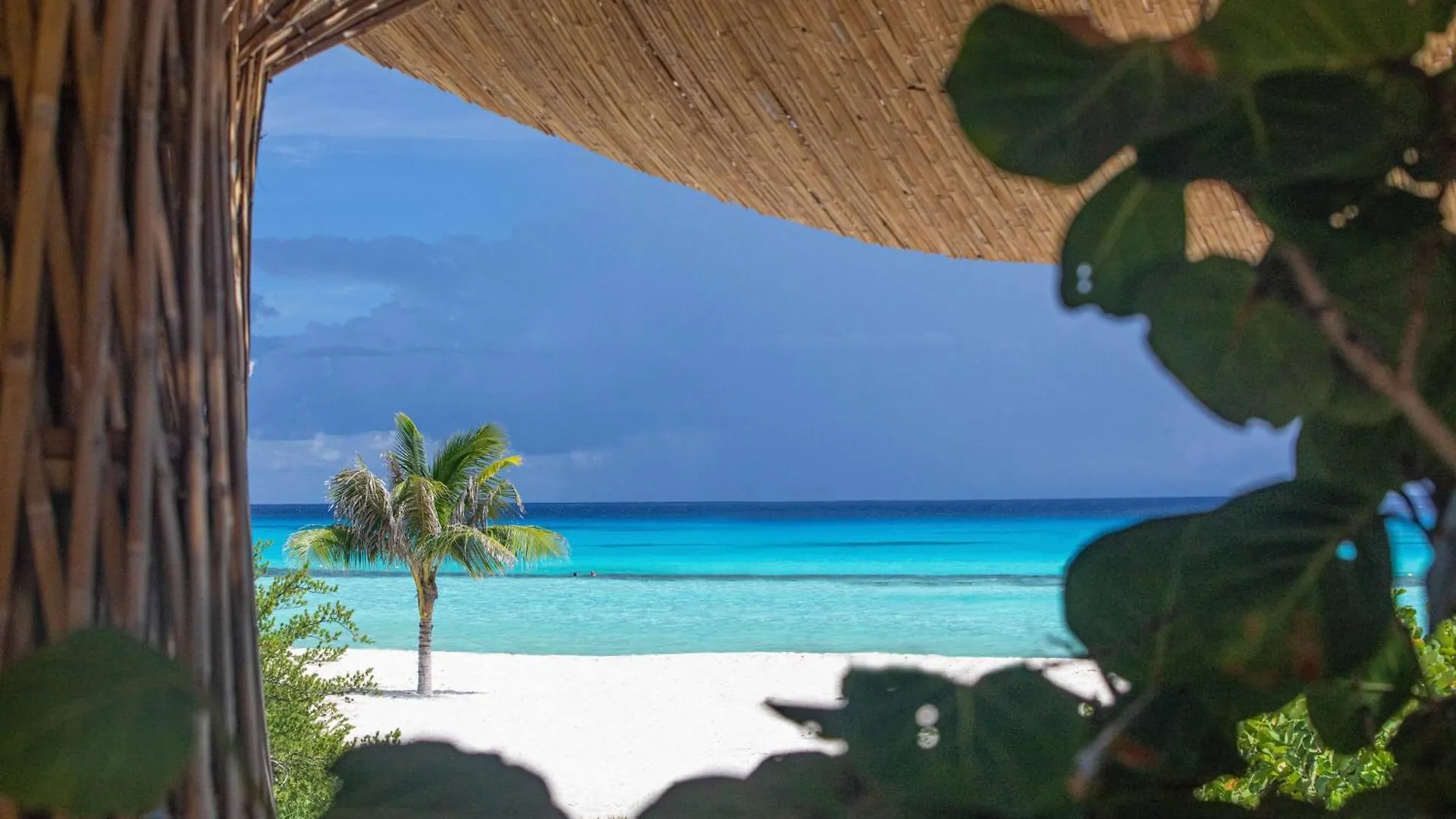 Palmaia The House Of Aia All Inclusive Wellness Resort Los Dos Compadres 5*,